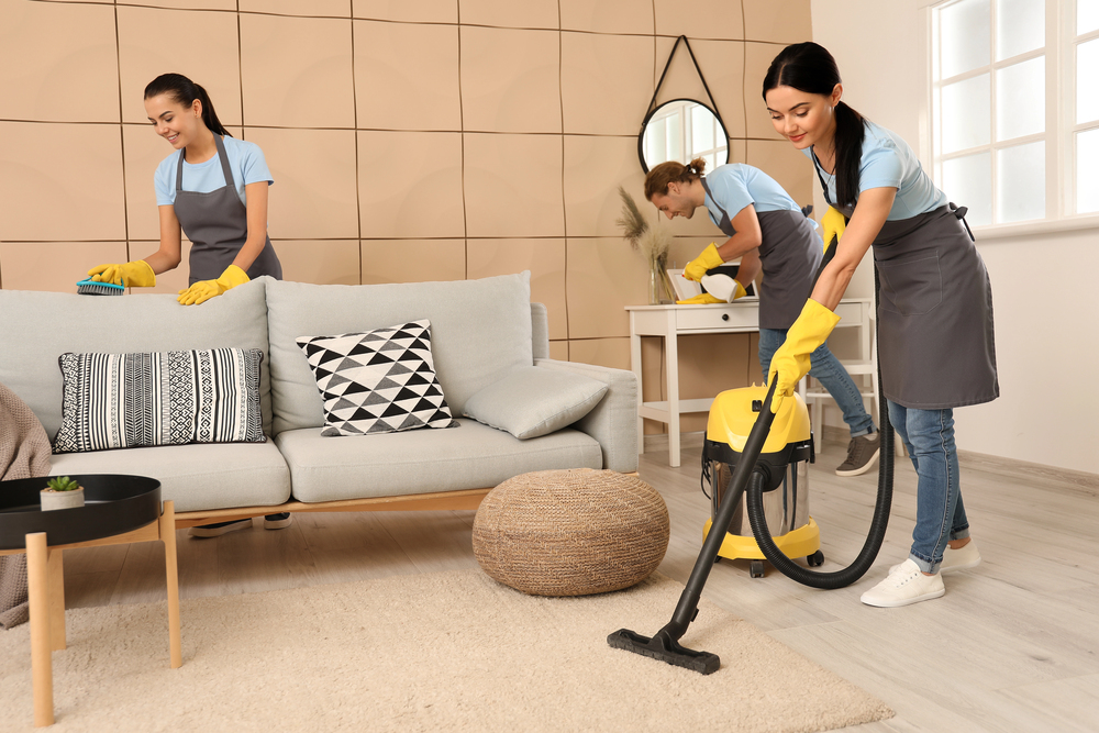 Professional carpet cleaning in Waltham