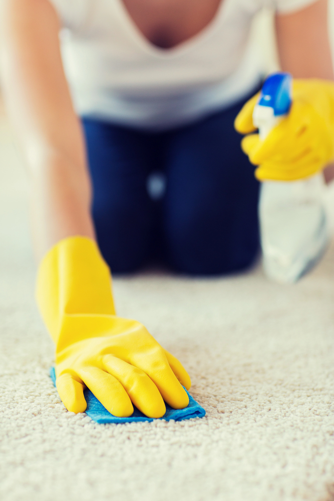 Emergency carpet cleaning in Waltham